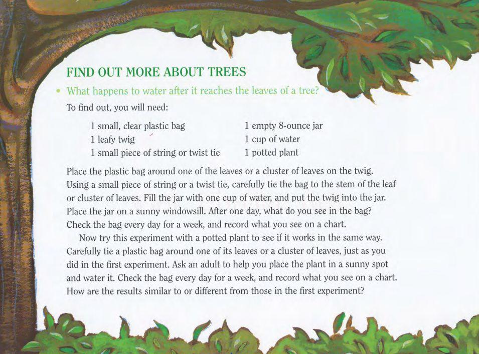 如何保护树的英语作文(树木保护地球我们保护树木原生好声音英语配音每日英语学英语英语配音声音疗愈)