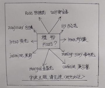 零基础有哪些学习方法(零基础学霸秘籍)