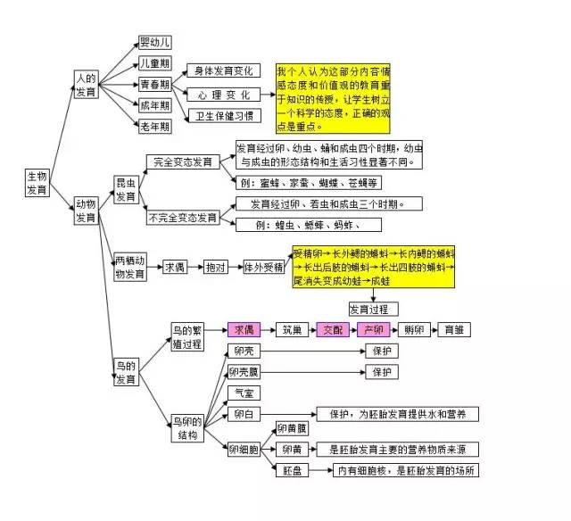 初二生物学习方法有哪些(初二生物学习大揭秘！轻松掌握高效方法，成为生物小专家)