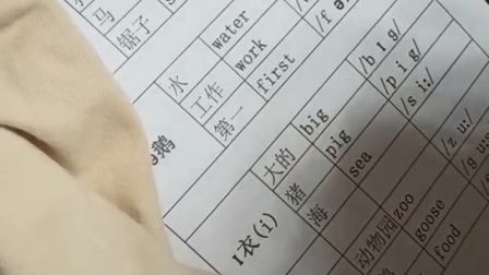 音标有哪些学习方法技巧(音标教学英语学习方法技巧)