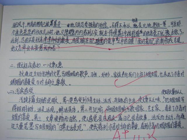 初中作文写什么格式好看(初中作文常见的格式)