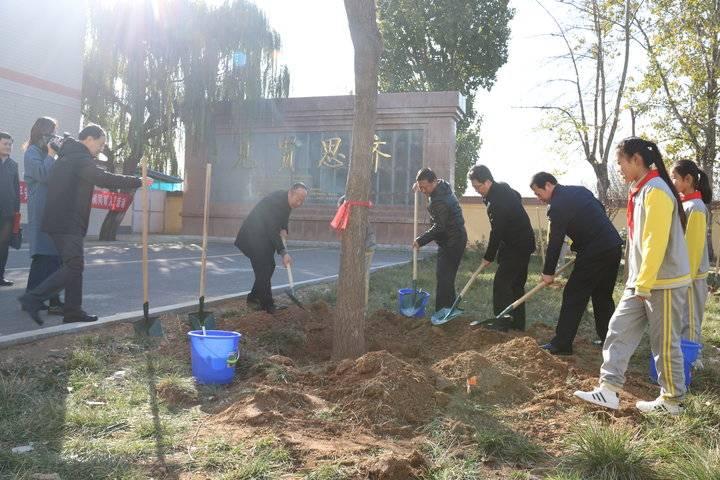 常青树有哪些学习方法技巧(常青树学习方法和技巧)