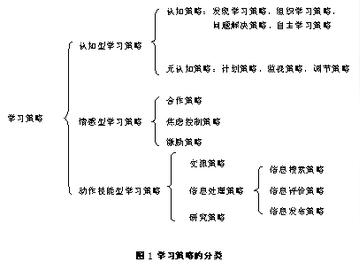 初中政治有哪些学习方法(初中政治学习方法)