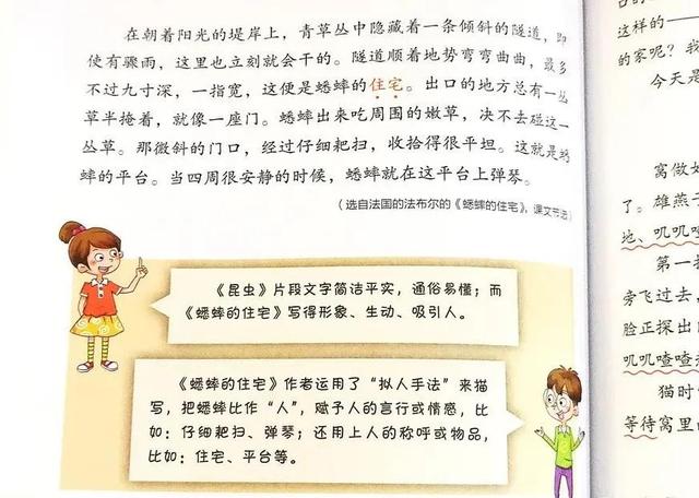 不会写作文怎么办(不擅长写作文的建议)
