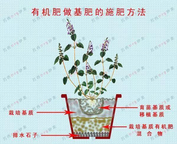 磷肥怎么吸收(磷肥的学习方法)