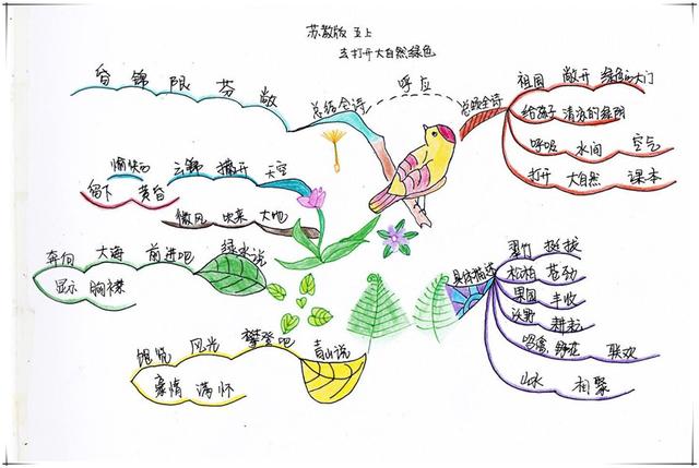 训练专注力有哪些学习方法(训练专注力的学习方法)