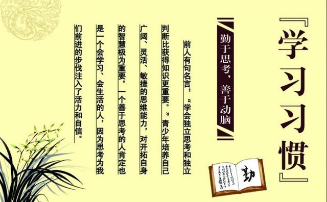 如何陪孩子走过高中三年(陪孩子走过高中三年的建议)