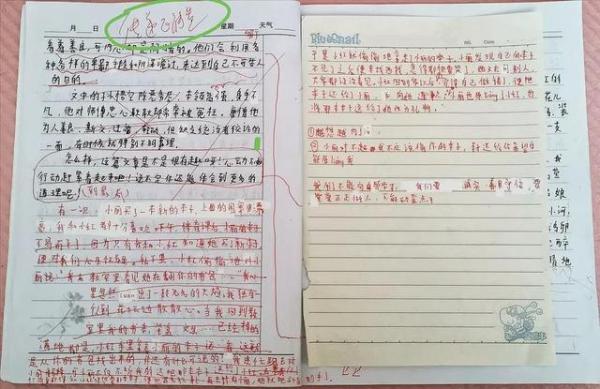 修改符号的用法有哪些(常见的修改符号的用法)