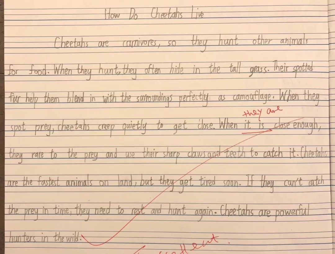 如何高效写出英语作文(写出高质量英语作文的方法)