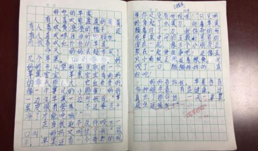 作文如何批改(有效的批改方法和步骤)