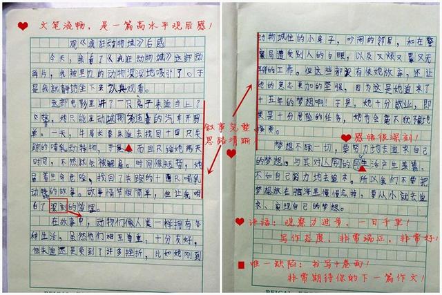 如何过六级作文(提高六级写作水平的方法)