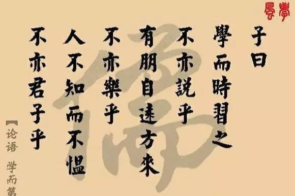 怎么掌握基础知识点(掌握基础知识点的方法)