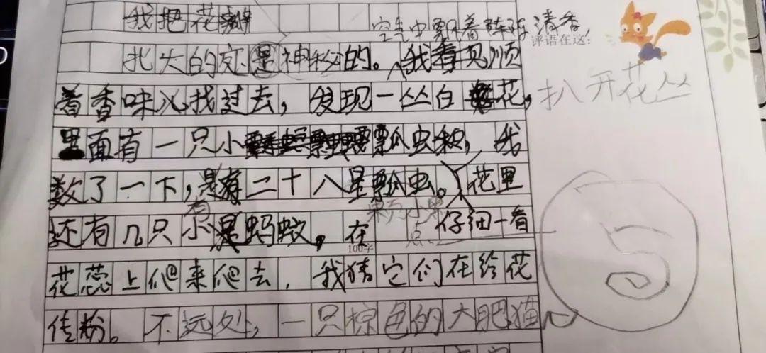 怎么训练专注力(有效的训练专注力的方法)