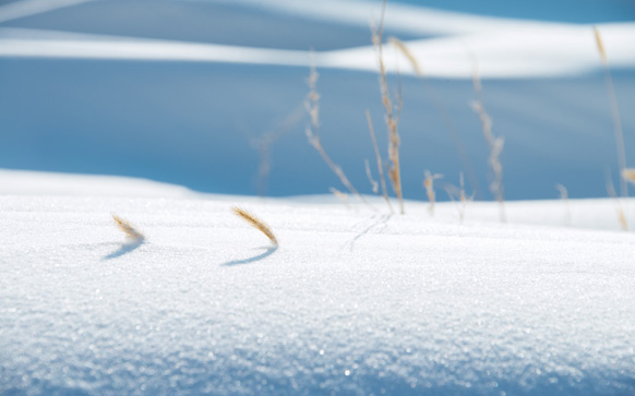 如何写好雪景作文(写好关于雪景作文的方法)