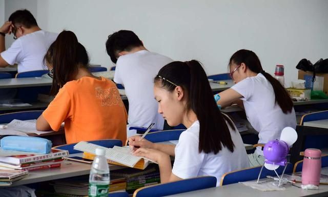 怎么提高孩子的适应力(孩子提高适应力的方法)