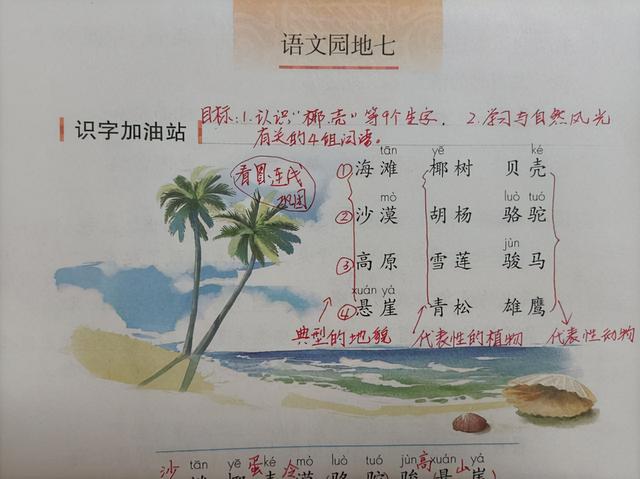 怎样高效复习(高效复习的方法)