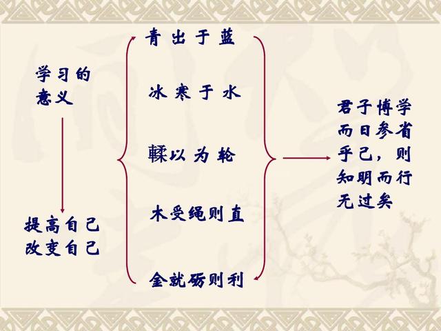 学霸有什么样的高效学习方法(学霸常用的学习策略)