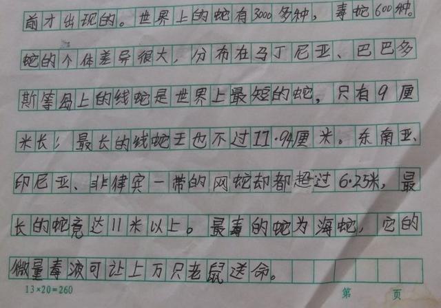 写小动物的作文怎么写(写小动物的作文结构和示例)