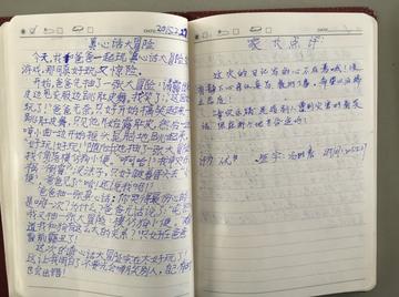 语文怎么学会摘抄(学习摘抄的有效方法)