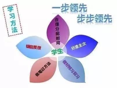 初中物理电学怎么学好(掌握电学知识的方法)