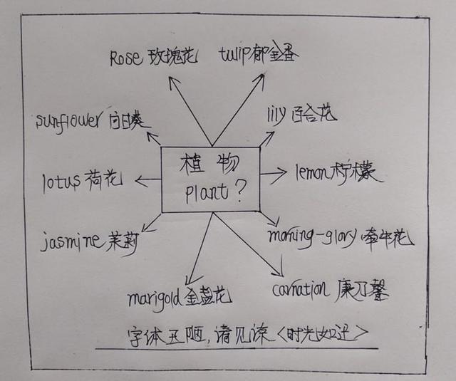 复习如何巩固知识(巩固所学知识的技巧)