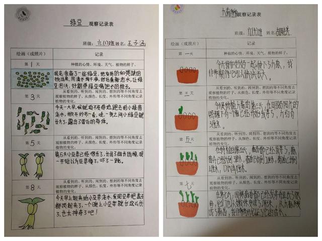 知识点如何学会分类(学会分类知识点的策略)