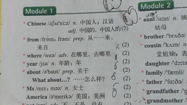 怎样提高英语成绩(提高英语成绩的建议)
