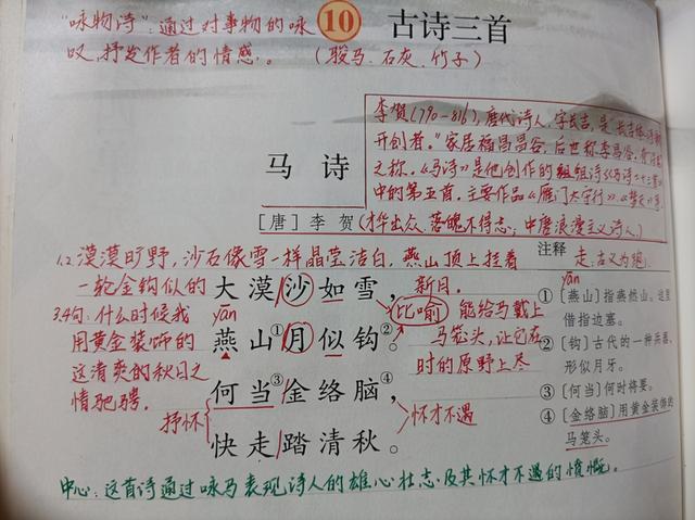 怎么学好语文(提高语文水平的方法)