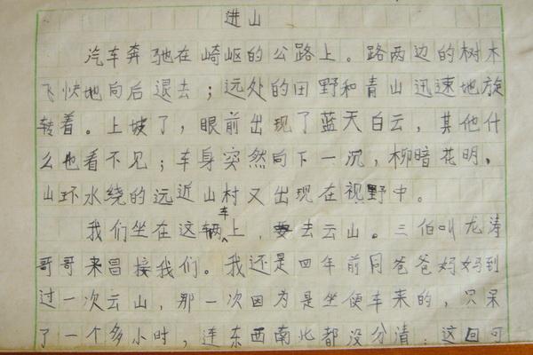 怎么对语文有针对性的学习(语文学习的策略)