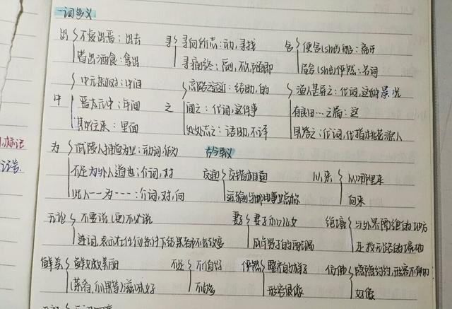 初中语文怎么学好(学好初中语文的技巧)