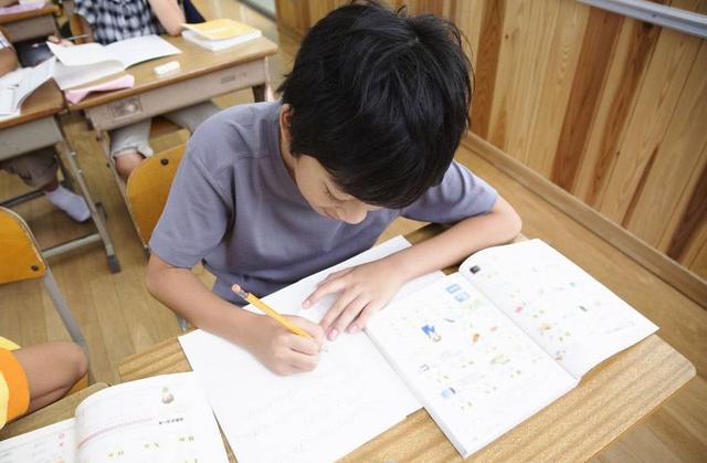 错题本该怎么整理错题(整理错题本的建议)