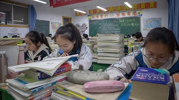 如何在作文中表达自己的感受(有效表达自己感受的方法)