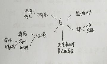 如何缓解学习的压力(缓解学习压力的方法)