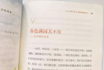 怎么去提升文章语言的美感(提高文章语言美感的策略)