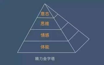 怎么才能刺激大脑记忆(刺激大脑记忆的策略)