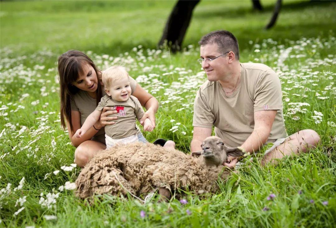 如何培养幼儿的安全感(培养幼儿安全感的技巧)