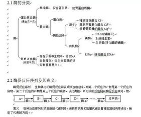 怎么学会总结知识点(学会总结知识点的技巧)