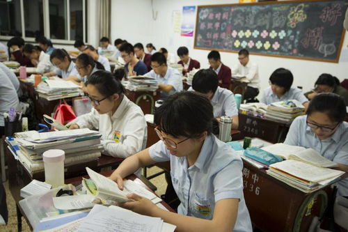 如何培养孩子沟通力(提高沟通能力的方法)