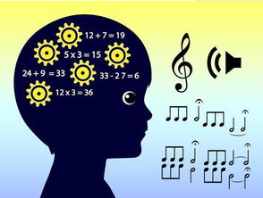 怎样调整学习作息(调整学习作息的建议)