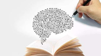 怎么增强大脑功能(增强大脑功能的策略)