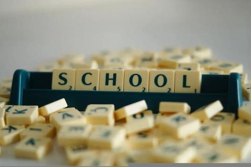 如何提高学习警觉性(提高学习警觉性的方法)