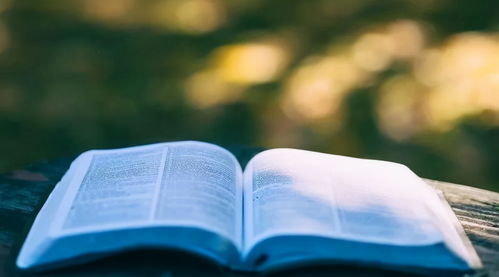 如何培养孩子的观察力(培养观察力的技巧)