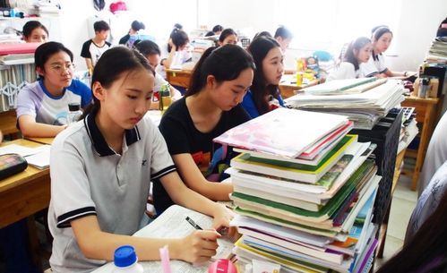 如何自发的学习(促进自发学习的方法)