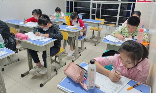 如何精准复习知识点(巩固知识点的策略)