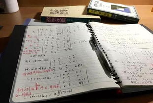 数感如何培养(培养数感的策略)