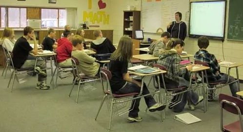 怎样理解课文内容(理解课文内容的方法)