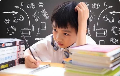 如何消灭知识盲点(识别和弥补知识盲点的步骤)