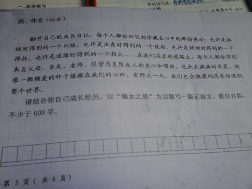 语文作文怎么描写环境(描写环境的技巧)