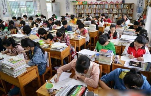 数学二次函数怎么学好(学好二次函数的步骤)