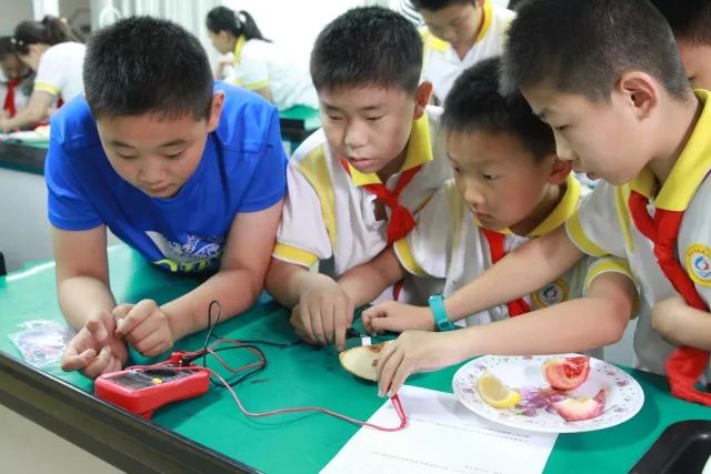 学习总是记不住内容怎么办(增强学习效果的策略)